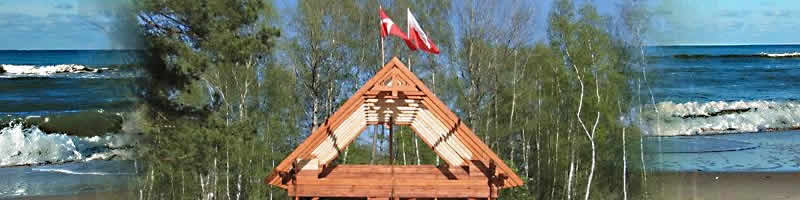 Dąbki domki.